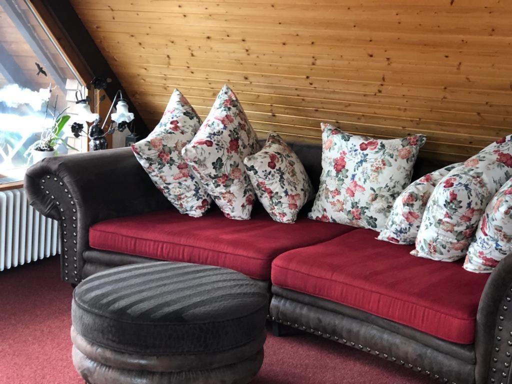 Apartment Am Sommerberg - Greschuk Feldberg (Baden-Wurttemberg)