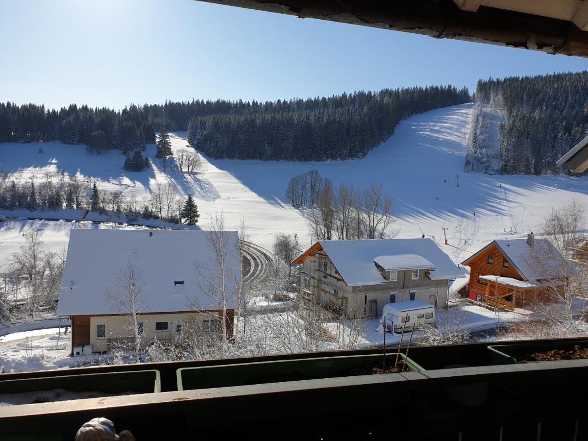 Am Sommerberg - Greschuk * Feldberg (Baden-Wurttemberg)